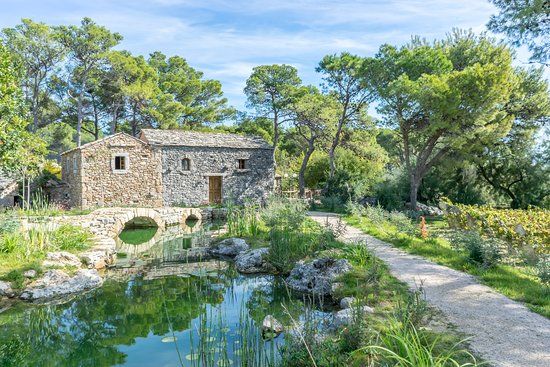 Dalmatinsk etniska by