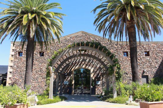 Black Stallion vingård