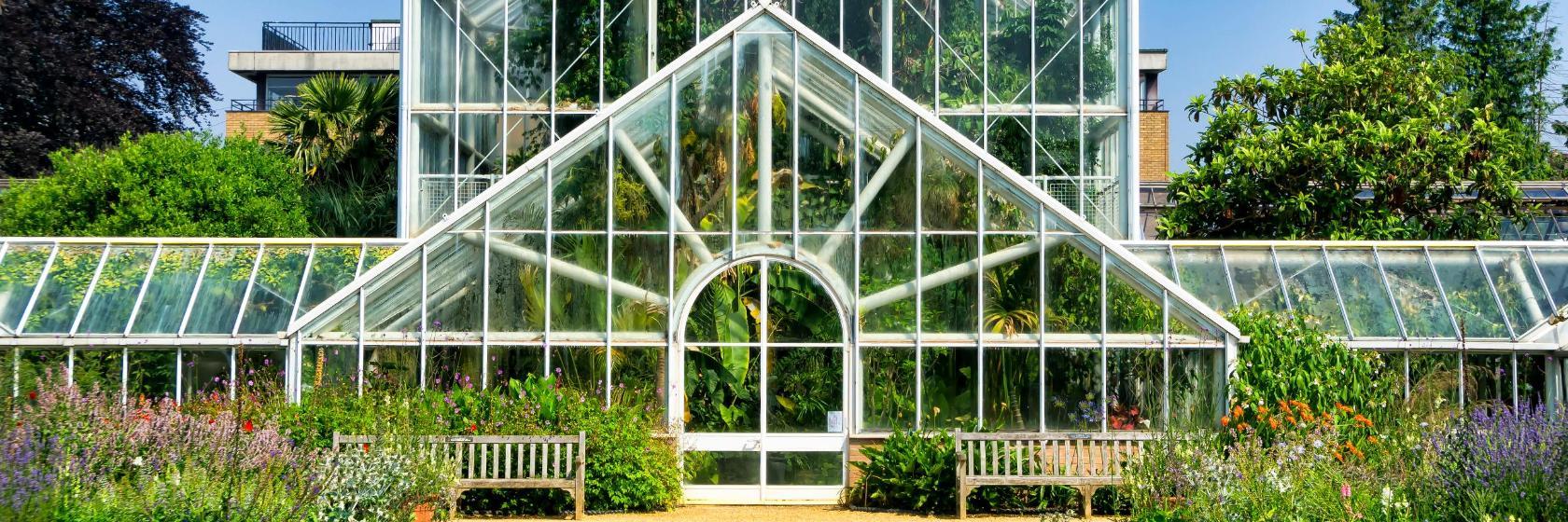 Universitys botaniska trädgårdar