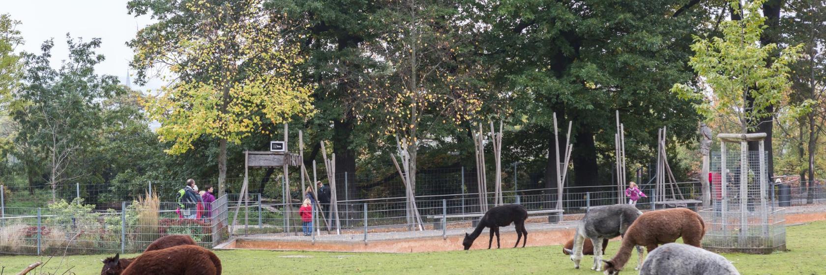 Stuttgarter Wilhelma zoo