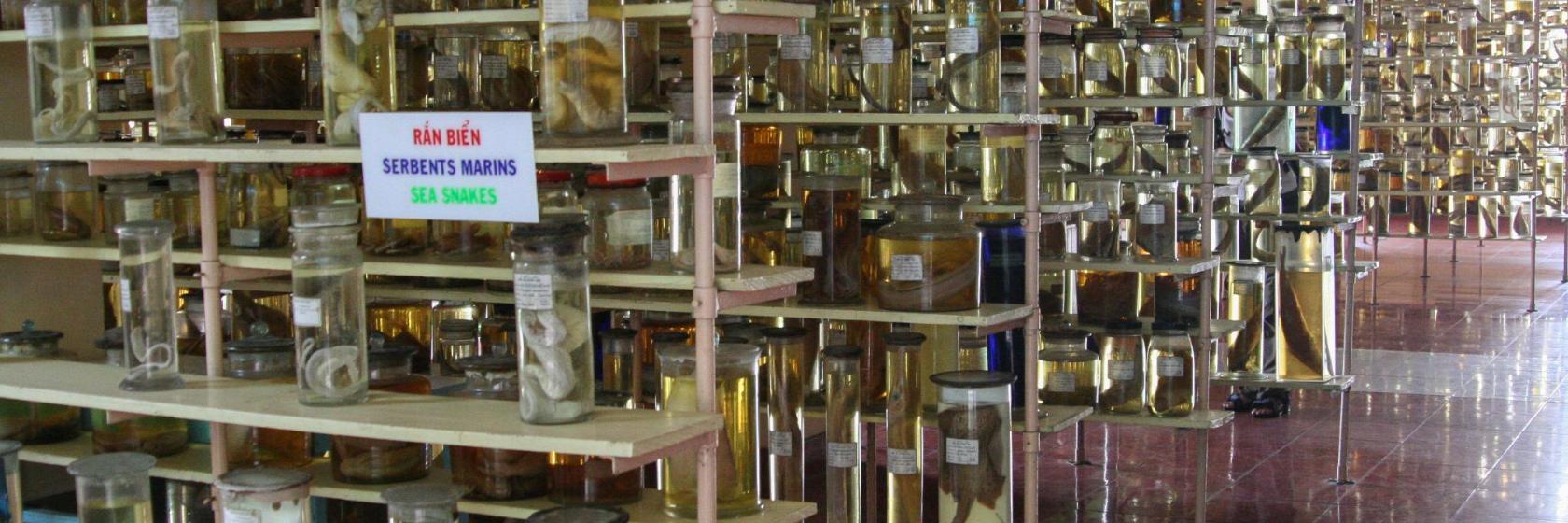 Museum Of Oceanography