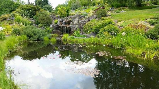 Botaniska trädgården