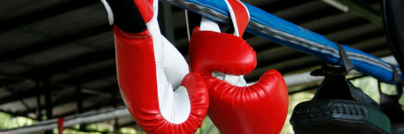 Tiger Muay Thai & MMA Training Camp