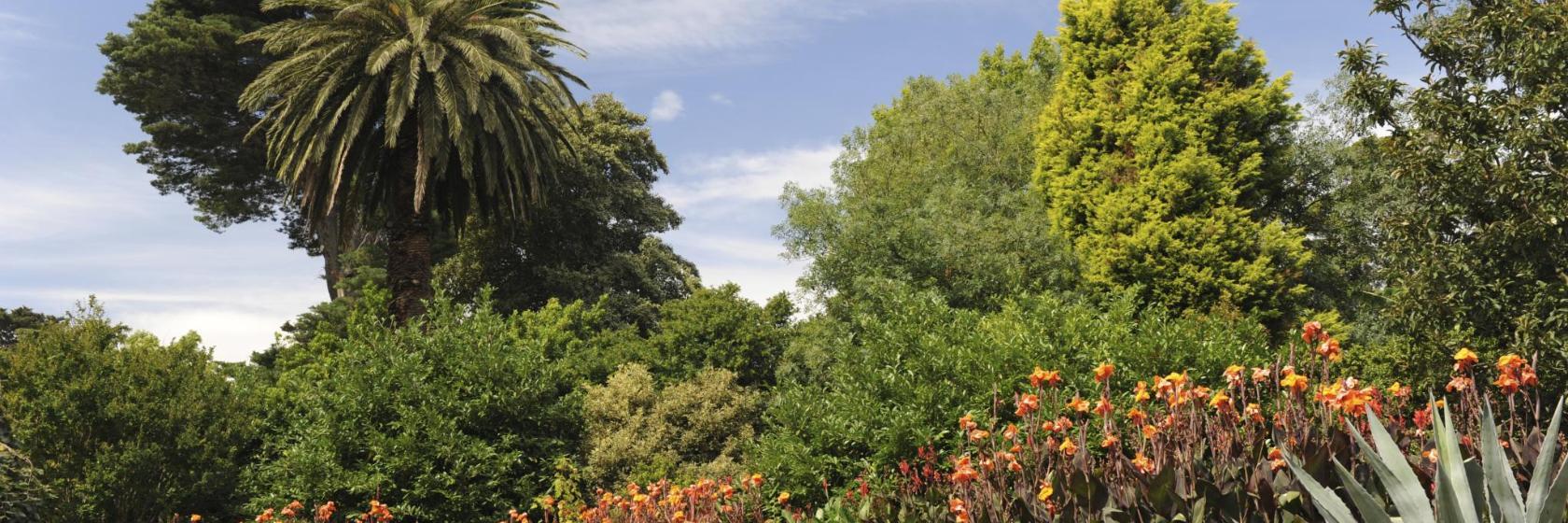 Kungliga botaniska trädgården i Melbourne