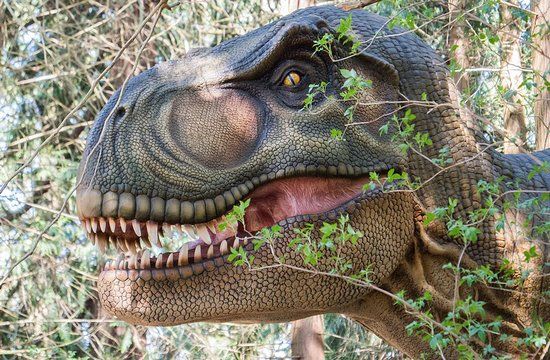 Knuthenborg Safaripark