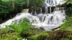 Västanå naturreservat