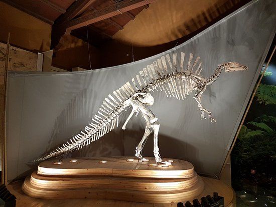 Fondaco dei Turchi-palatset