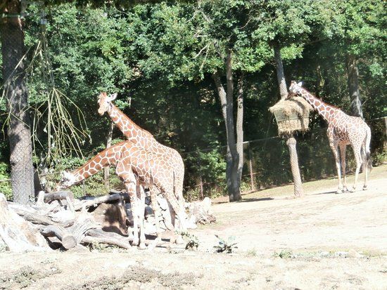 Zoo Brno