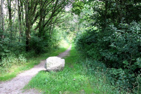 Väla skog naturreservat