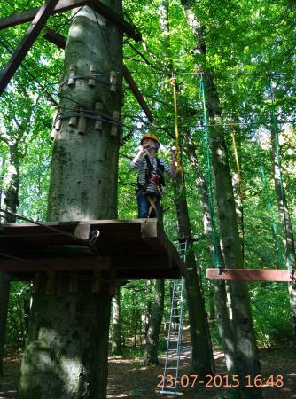 Avana Obstacle Course